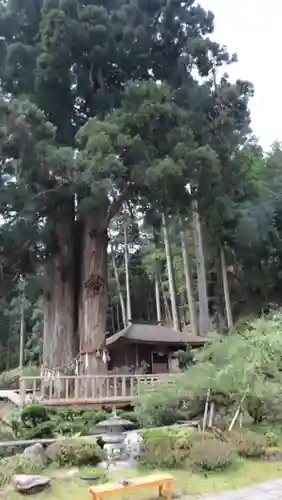 金剛三昧院(和歌山県)