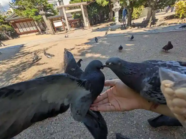 四柱神社(長野県)