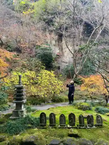 報国寺(神奈川県)