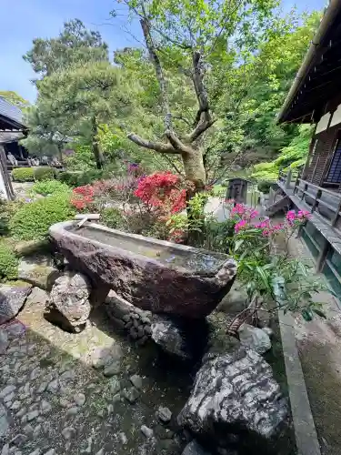 青蓮院門跡の{uncategorized: "未分類", other: "その他", undefined: "問題あり", building: "その他建物", grave: "お墓", sacred_gate: "鳥居", guardian: "狛犬", statue: "像", buddha: "仏像", history: "歴史", nature: "自然", garden: "庭園", animal: "動物", pagoda: "塔", temizu: "手水舎", mountain_gate: "山門・神門", sanctuary: "本殿・本堂", subordinate: "末社・摂社", art: "芸術", scenery: "景色", jizo: "地蔵", ema: "絵馬", goshuin: "御朱印", omikuji: "おみくじ", items: "授与品その他", amulet: "お守り", goshuincho: "御朱印帳", eats: "食事", festival: "お祭り", votive_dance: "神楽", shichigosan: "七五三参", wedding: "結婚式", experience: "体験その他", initially: "初詣", around: "周辺", anti_infection: "感染症対策"}