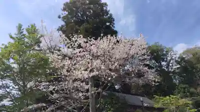 出雲大神宮(京都府)