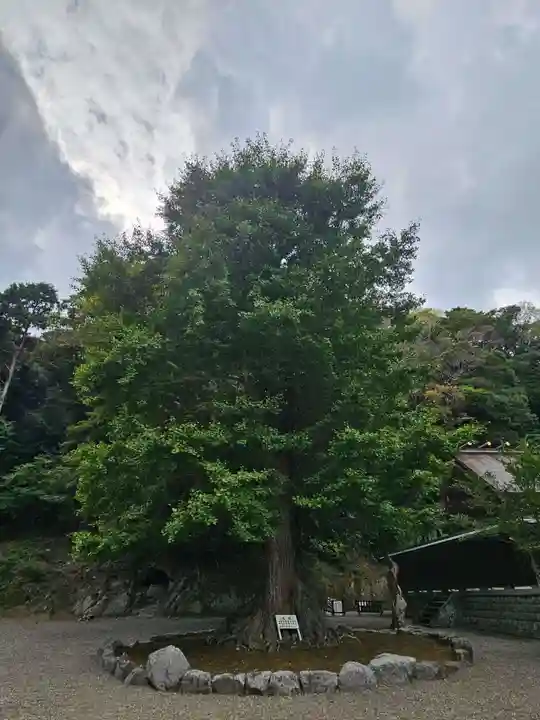 安房神社(千葉県)
