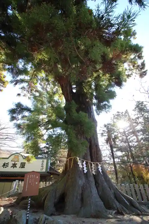 筑波山神社(茨城県)