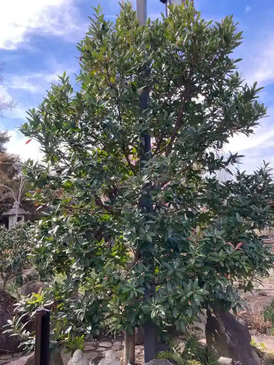 常泉寺(神奈川県)