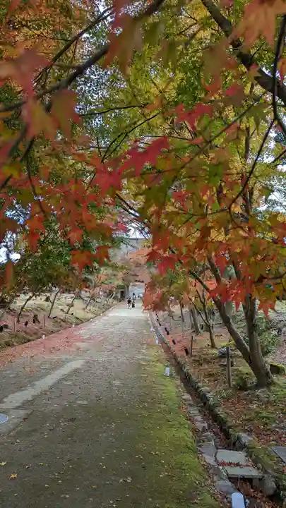 醍醐寺(京都府)