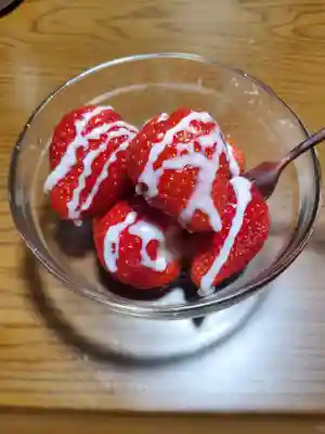 興聖寺(栃木県)