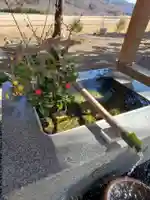 高司神社〜むすびの神の鎮まる社〜(福島県)