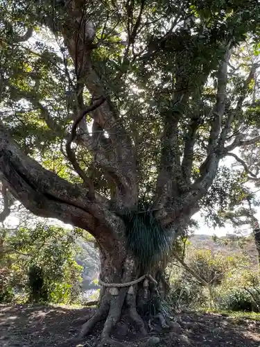 遠見岬神社(千葉県)