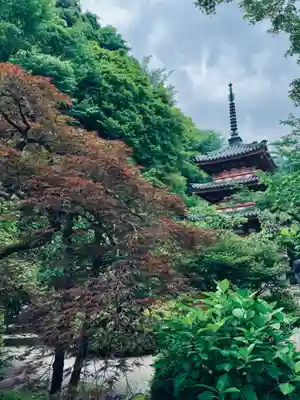 三室戸寺(京都府)