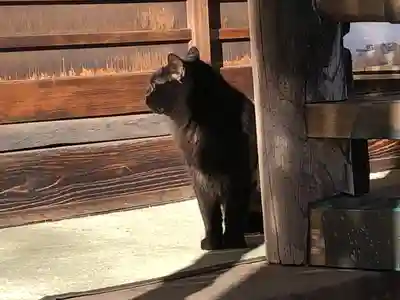 善入院観音堂 仙台第十番札所(宮城県)