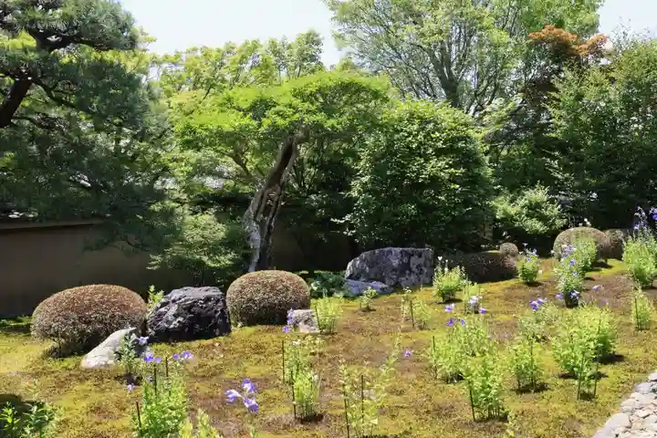 天得院(京都府)