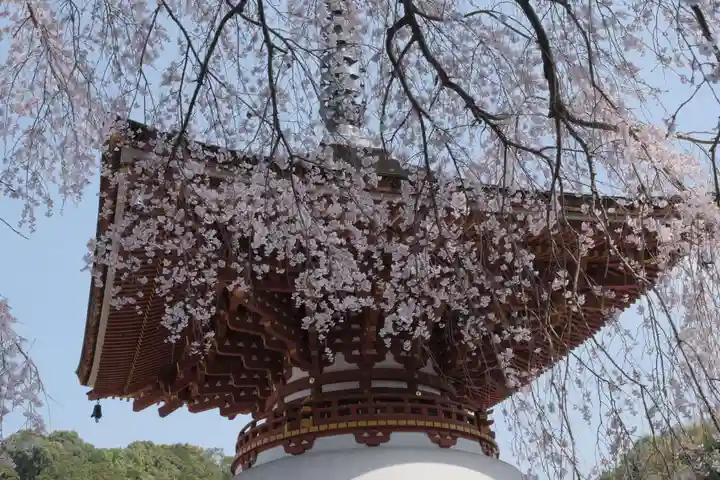 金剛寺のその他建物