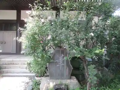 弥勒寺(東京都)