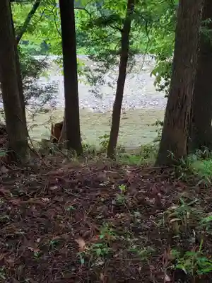 大葦神社の周辺