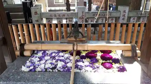 高円寺氷川神社の手水