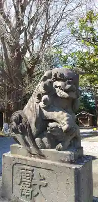 玉敷神社の狛犬