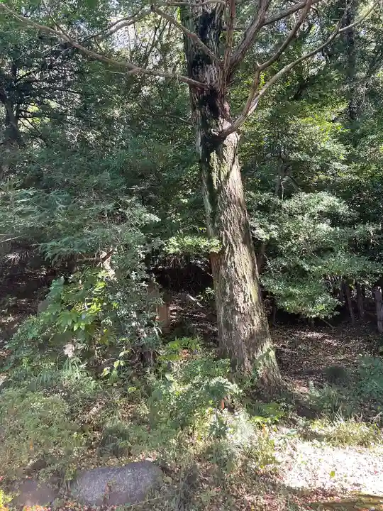 十二天神社の自然