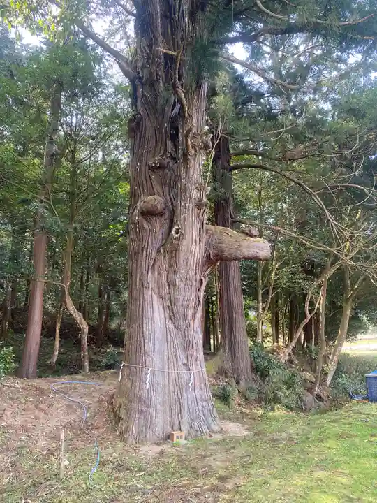 粟鹿神社(兵庫県)