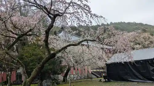 醍醐寺(京都府)