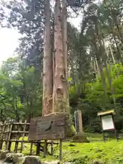 御岩神社の自然