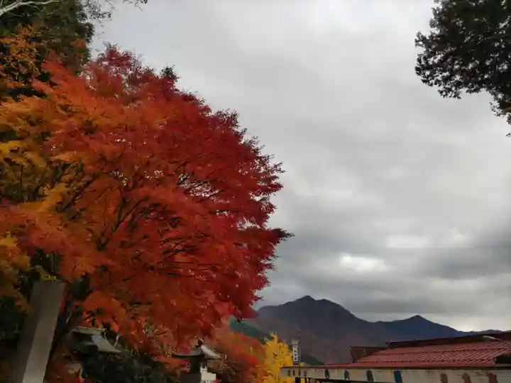 三峯神社の自然