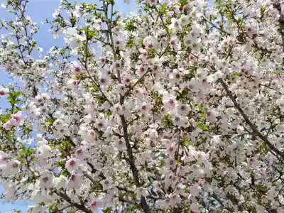 稲荷神社(北海道)