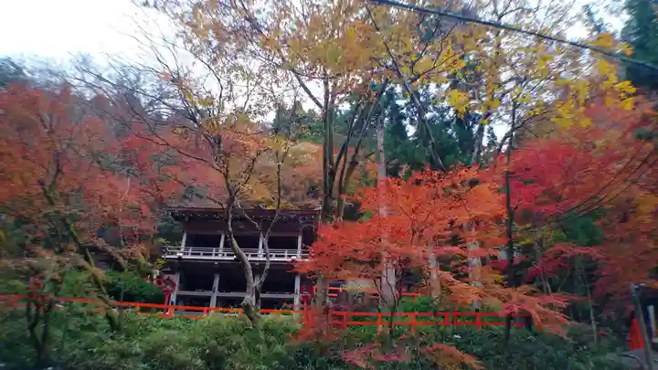 貴船神社の自然