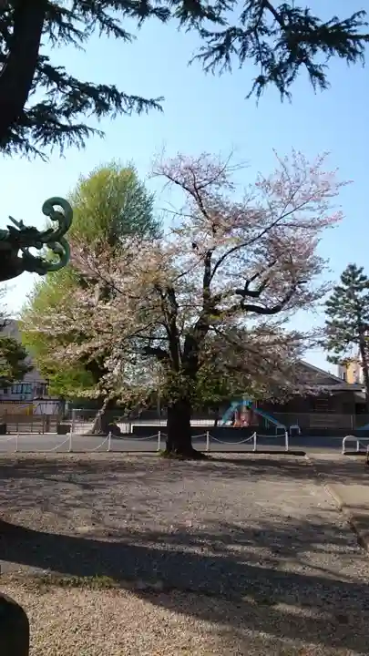 寛永寺(根本中堂)(東京都)