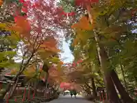 日吉大社(滋賀県)