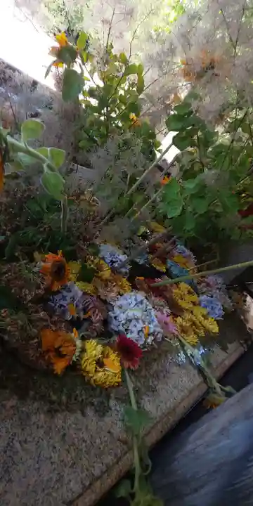 北野天満宮(京都府)