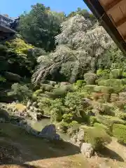 医光寺の庭園