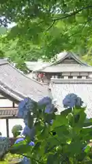 柳谷観音　楊谷寺の建物その他