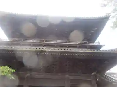 大樹寺（松安院大樹寺）(愛知県)