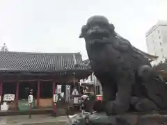 浅草神社の狛犬