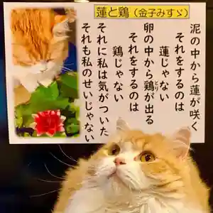 西教寺(下松駅徒歩5分)の動物(2022年06月20日(月) 23時25分45秒投稿)
