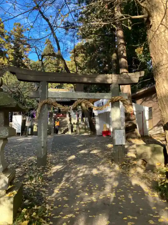 下野 星宮神社(栃木県)