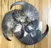 江川