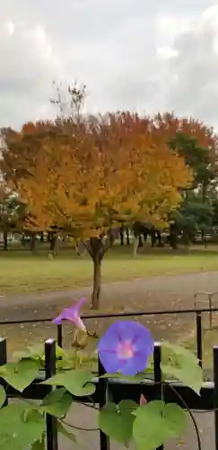 香取神社の自然