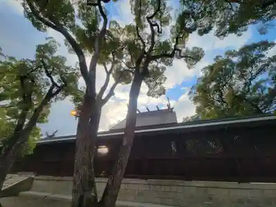 和泉國一之宮　大鳥大社(大阪府)