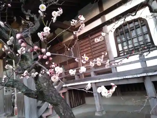 萬福寺(神奈川県)