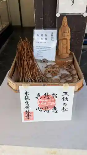 禅林寺（永観堂）(京都府)