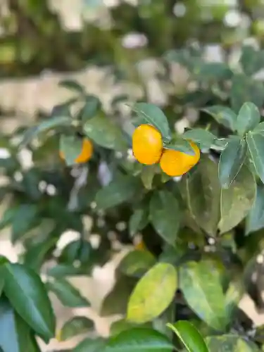 廣瀬大社(奈良県)