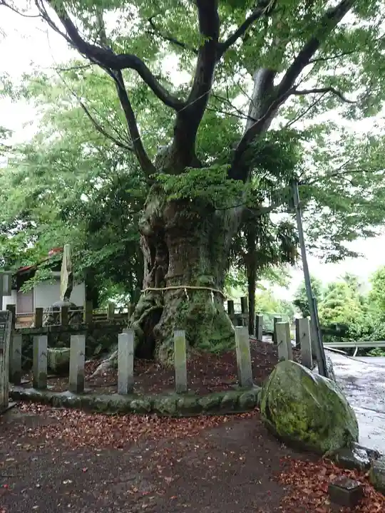 蓑笠神社のその他建物