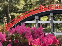 住吉大社の建物その他