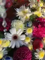 豊景神社の自然