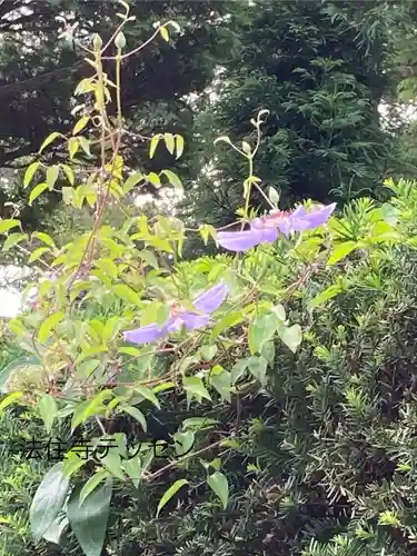 法住寺(長野県)