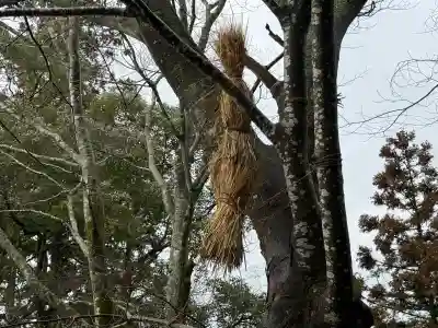 高木神社の{uncategorized: "未分類", other: "その他", undefined: "問題あり", building: "その他建物", grave: "お墓", sacred_gate: "鳥居", guardian: "狛犬", statue: "像", buddha: "仏像", history: "歴史", nature: "自然", garden: "庭園", animal: "動物", pagoda: "塔", temizu: "手水舎", mountain_gate: "山門・神門", sanctuary: "本殿・本堂", subordinate: "末社・摂社", art: "芸術", scenery: "景色", jizo: "地蔵", ema: "絵馬", goshuin: "御朱印", omikuji: "おみくじ", items: "授与品その他", amulet: "お守り", goshuincho: "御朱印帳", eats: "食事", festival: "お祭り", votive_dance: "神楽", shichigosan: "七五三参", wedding: "結婚式", experience: "体験その他", initially: "初詣", around: "周辺", anti_infection: "感染症対策"}