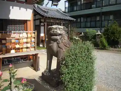 水堂須佐男神社の狛犬