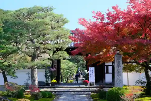 圓光寺の山門