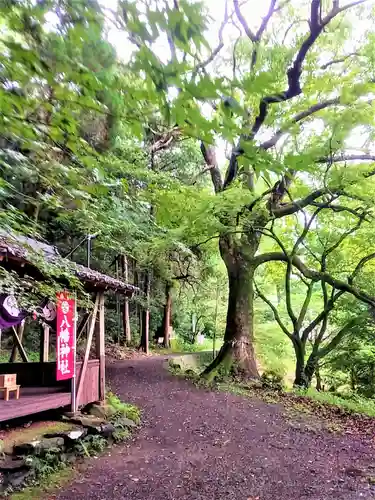 稲佐神社の建物その他